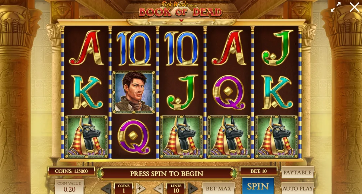 Book of Dead slot 2