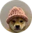 Dogwifhat coin icon