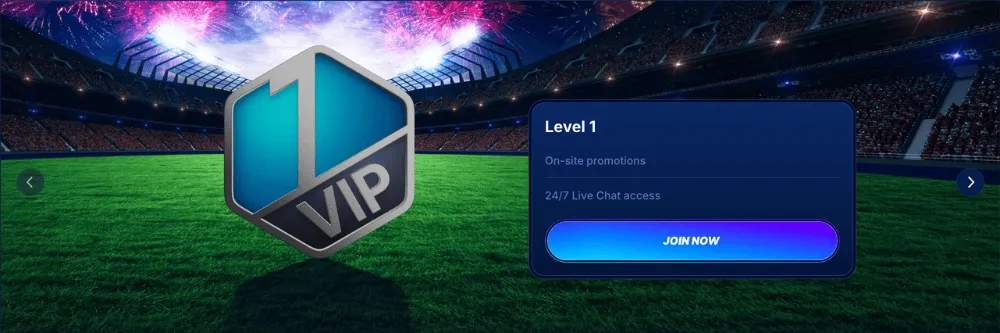 boomerang bet casino vip icon