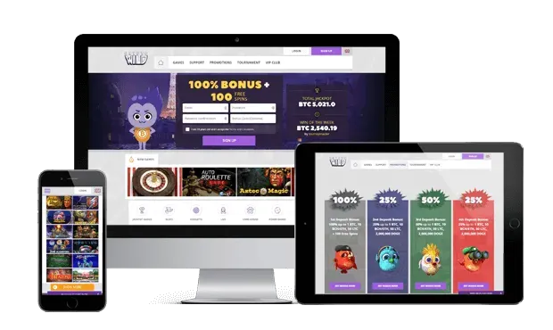 cryptowild casino website screens
