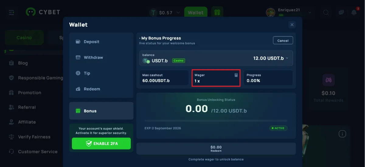 cybet casino missing bonus conditions icon