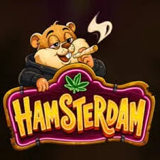 hamsterdam slot icon