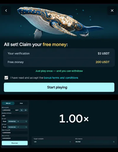 housebets casino wallet promo details 2 icon