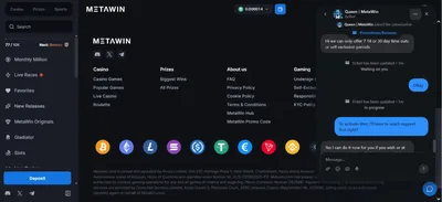 metawin casino support 3 icon