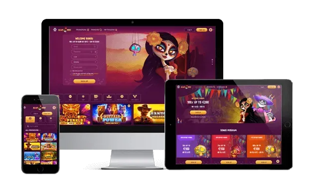 slotvibe casino website screens
