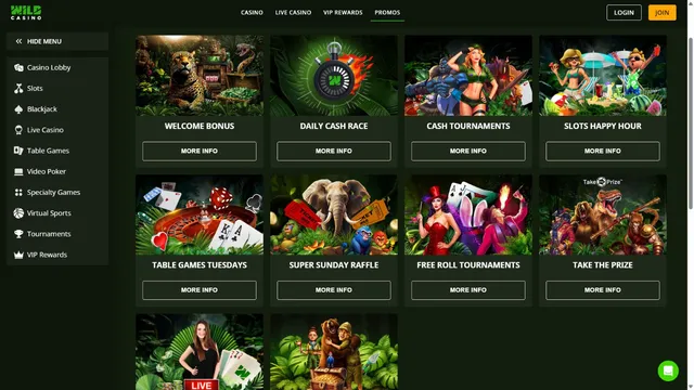 wild casino promotions