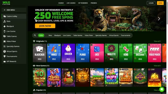 wild casino website screen