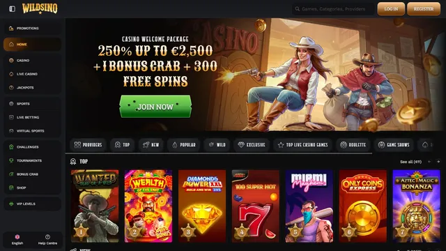wildsino casino website screen